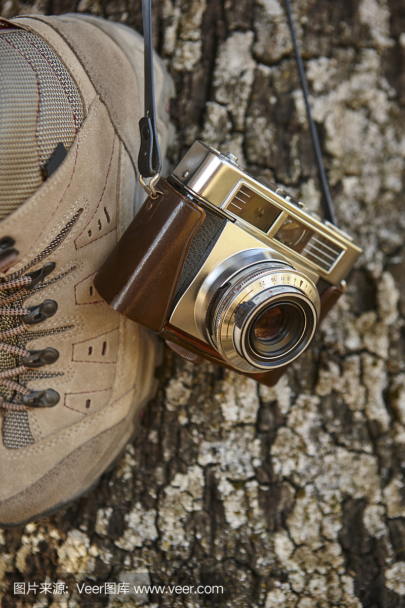 复古相机与徒步靴和树干。旅行
